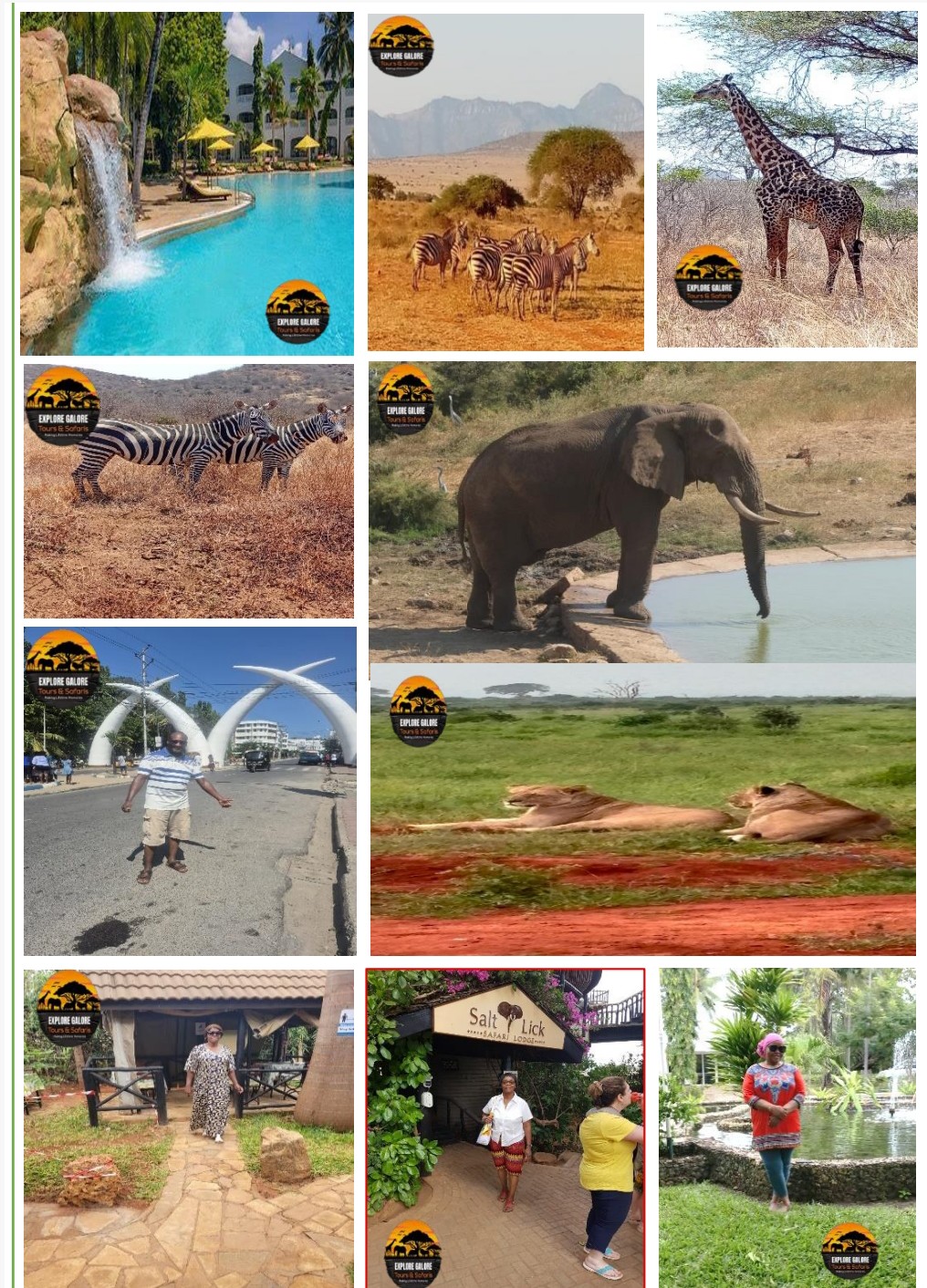 Welcome to Explore Galore Tours & Safaris