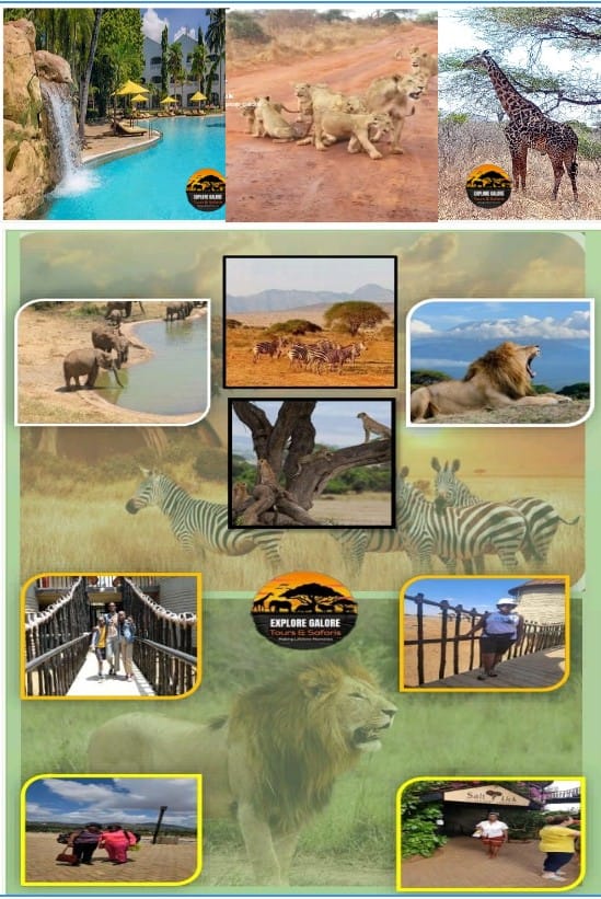 Welcome to Explore Galore Tours & Safaris